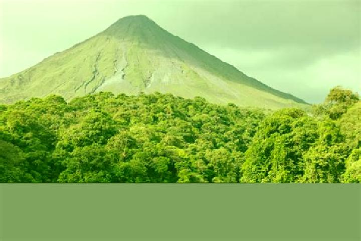 Sadie, 27 — Escort in Arenal de Alvarez (Arenal de Paco), Mexico