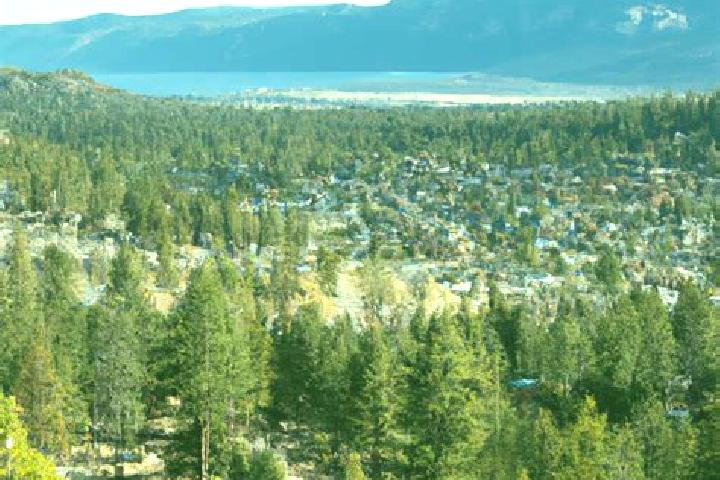 Sadie, 27 — Escort in Big Bear City, United States