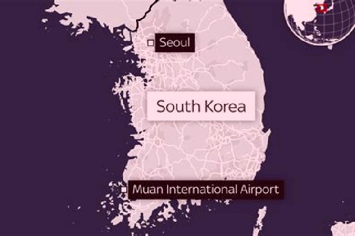 Sadie, 27 — Escort in Muan, South Korea