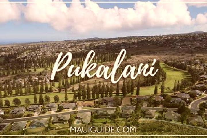 Sadie, 27 — Escort in Pukalani, United States