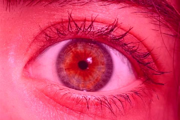 Sadie, 28, a red hazel-eyed ebony companion based in Wanaque. Offering Tantra, Couples, Striptease. Available for incall and outcall, overnight bookings avai...