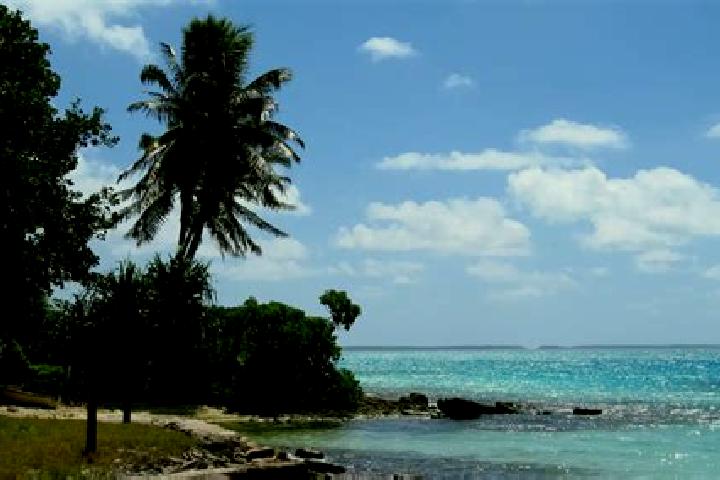 Sadie, 28 — Escort in Betio Village, Kiribati