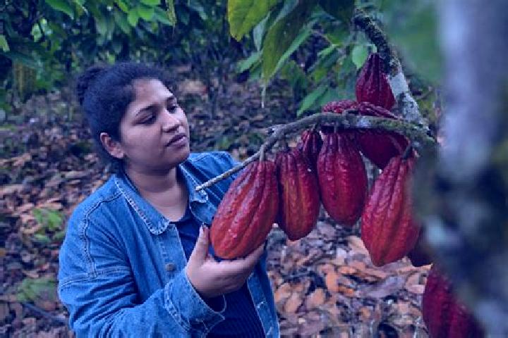 Sadie, 28 — Escort in Francisco J. Santamaria (Cacao), Mexico