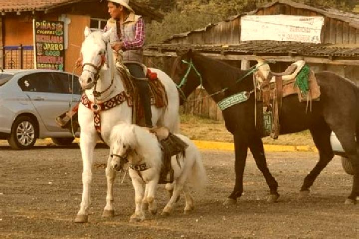 Sadie, 28 — Escort in La Marquesa, Mexico
