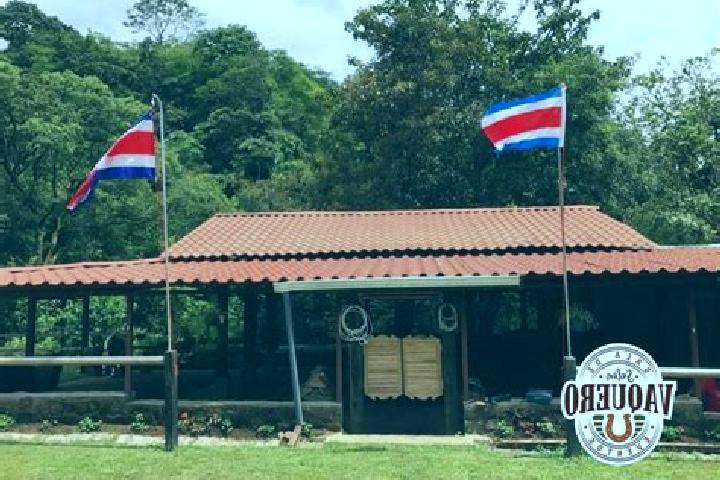 Sadie, 28 — Escort in Patarra, Costa Rica