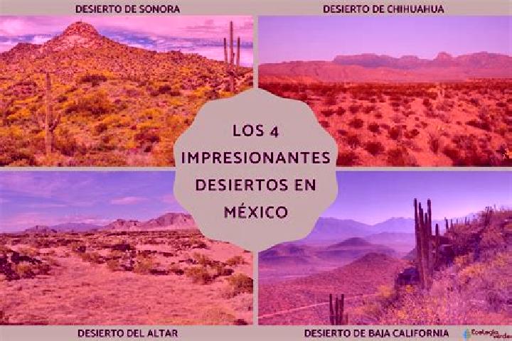 Sadie, 29 — Escort in El Desierto, Mexico