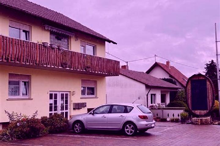 Sadie, 29 — Escort in Gauersheim, Germany