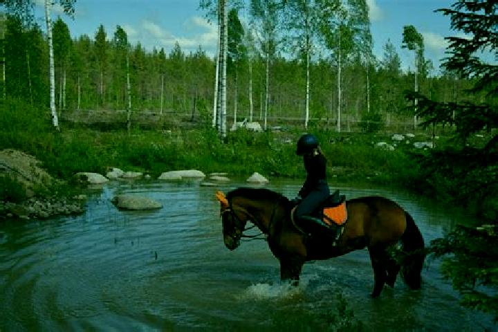 Sadie, 29 — Escort in Karvia, Finland