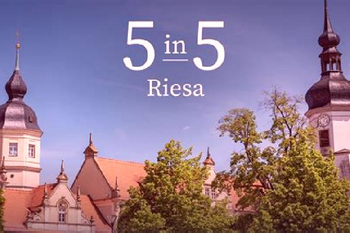 Sadie, 29 — Escort in Riesa, Germany