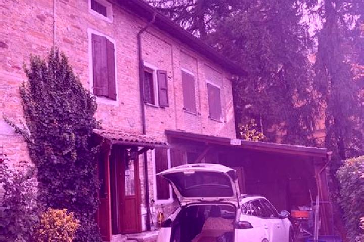 Sadie, 29 — Escort in Tizzano Val Parma, Italy