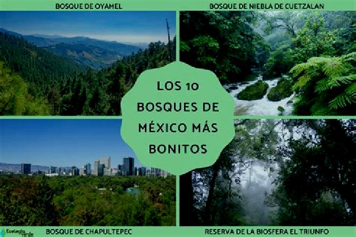 Sadie, 30 — Escort in Altus Bosques, Mexico