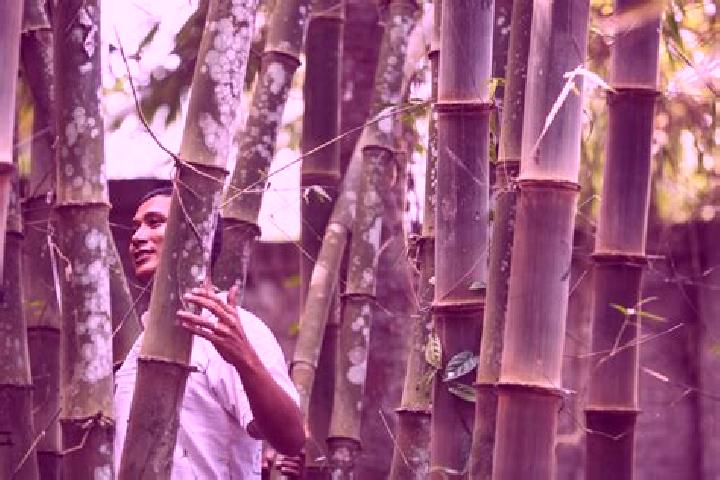 Sadie, 30 — Escort in Bamboo Flat, India