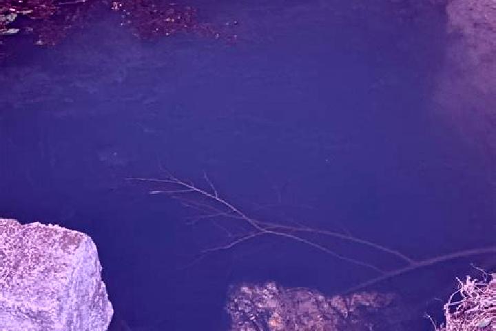 Sadie, 30 — Escort in Ojos de Agua de Cerano, Mexico