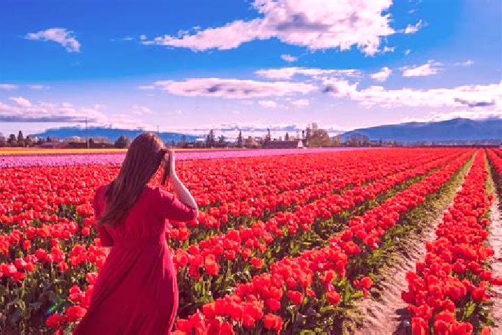 Sadie, 30 — Escort in Rose Valley, United States