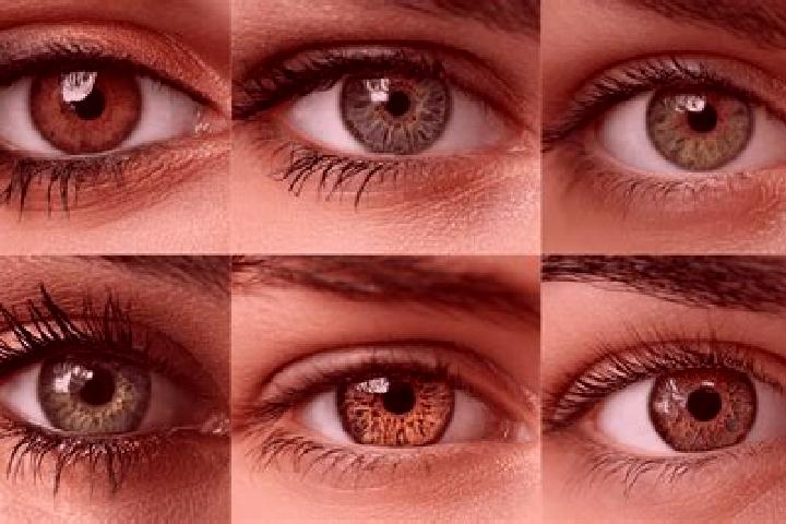 Sadie, 31, a black hazel-eyed caucasian companion based in Sainte-Adresse. Offering Fetish, Roleplay, Erotic Massage, Dinner Date, OWO. Available for incall ...