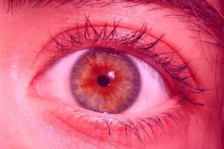 Sadie, 31, a red hazel-eyed asian companion based in Valliera. Offering BDSM, A-Level, Domination. Available for incall and outcall, day and evening dates.