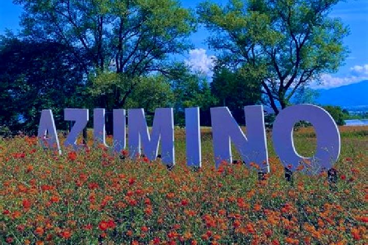 Sadie, 31 — Escort in Azumino, Japan