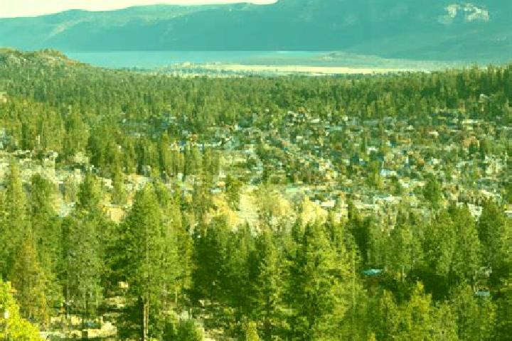 Sadie, 31 — Escort in Big Bear City, United States