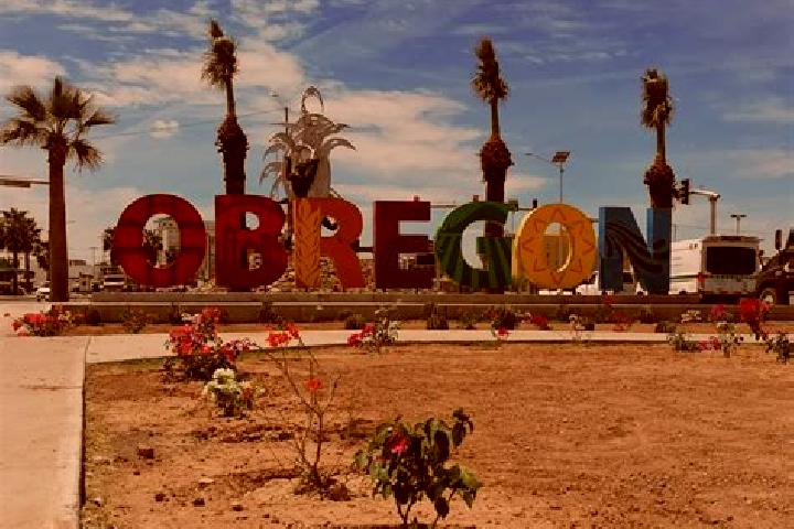 Sadie, 31 — Escort in Ciudad Obregon, Mexico