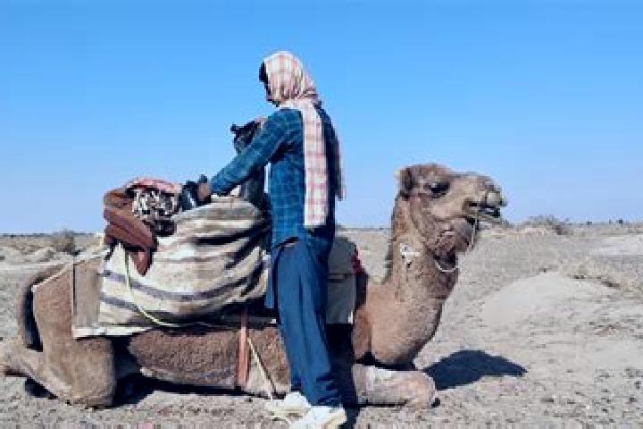Sadie, 31 — Escort in Dasht-e Archi, Afghanistan