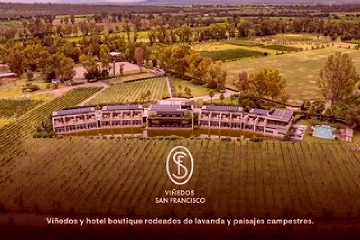 Sadie, 31 — Escort in Estancia de San Francisco, Mexico