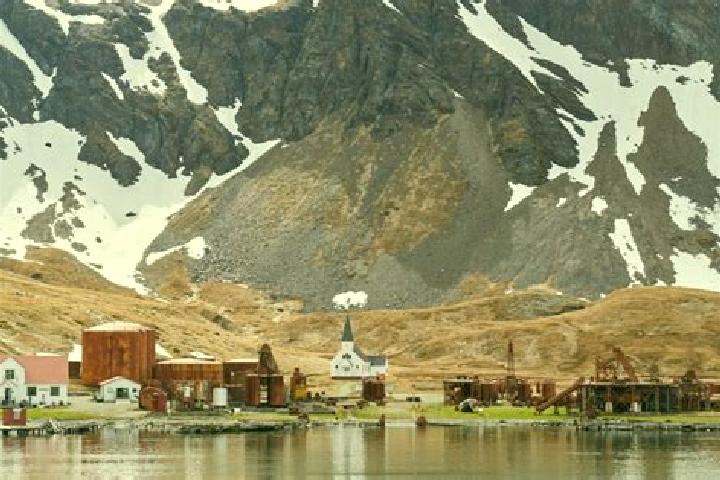 Sadie, 31 — Escort in Grytviken, South Georgia