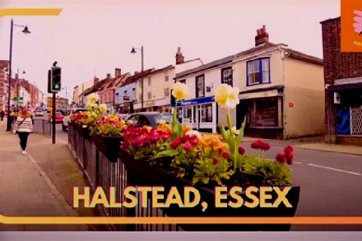 Sadie, 31 — Escort in Halstead, United Kingdom