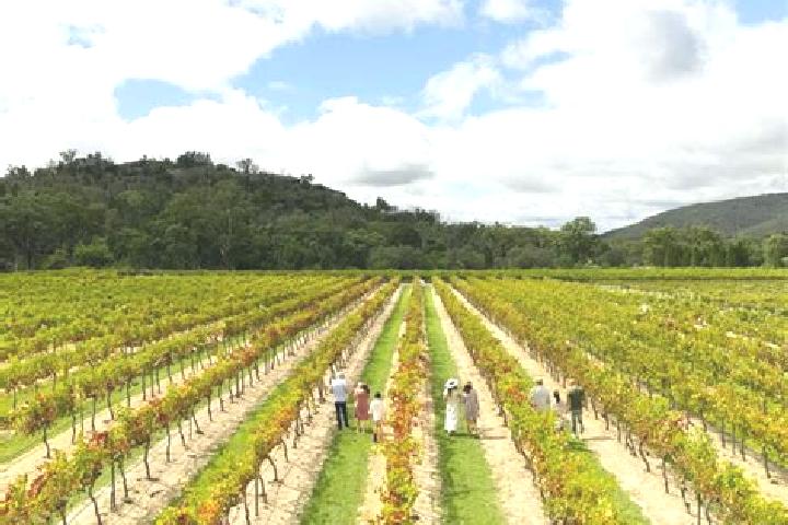 Sadie, 31 — Escort in Vineyard, Australia