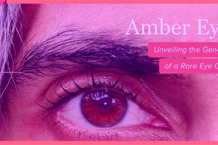Sadie, 32, a red amber-eyed european companion based in Gross Rodensleben. Offering Couples, Domination, Massage, Prostate Massage. Available for incall and ...