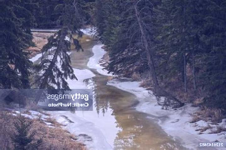 Sadie, 32 — Escort in Blackmud Creek, Canada