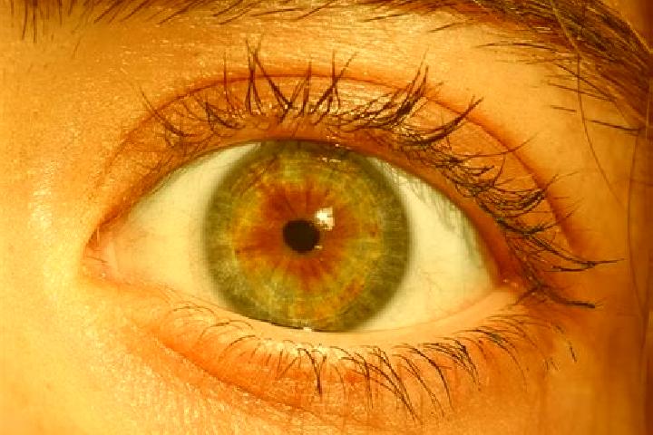 Sadie, 33, a red hazel-eyed european companion based in Stepanky. Offering Fetish, Overnight, Party Girl, Tantra. Available for incall and outcall, overnight...