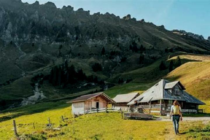 Sadie, 33 — Escort in Entlebuch, Switzerland