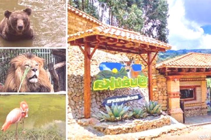 Sadie, 33 — Escort in Guatica, Colombia