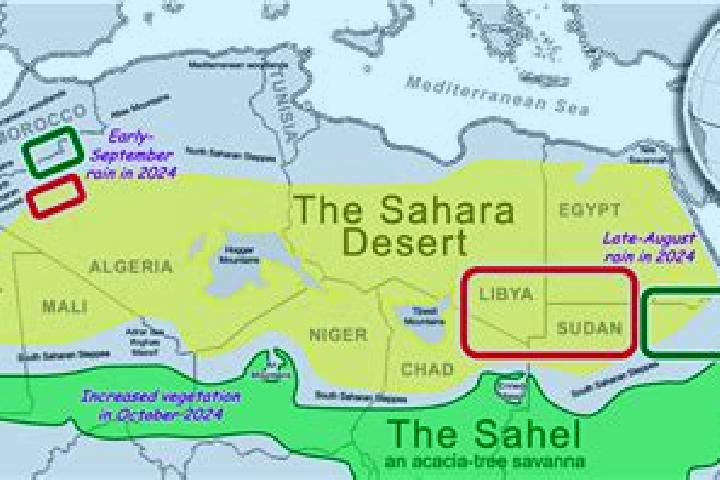 Sadie, 33 — Escort in Haouza, Western Sahara