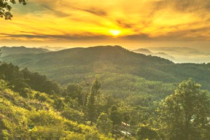 Sadie, 33 — Escort in Yercaud, India