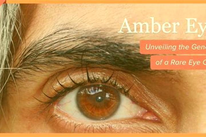 Sadie, 34, a dark blonde amber-eyed ebony companion based in Dinslaken. Offering 69, Fetish, Couples. Available for incall and outcall, day and evening dates.