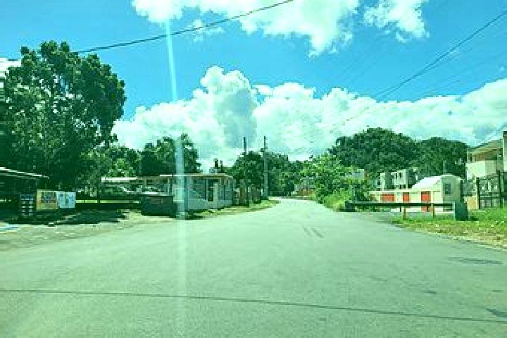 Sadie, 34 — Escort in Sabana Hoyos, Puerto Rico