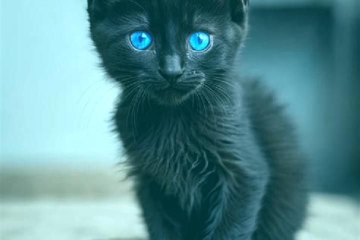 Sadie, 35, a black blue-eyed caribbean companion based in Imielno. Offering GFE, OWO, Travel Companion. Available for incall and outcall, overnight bookings ...