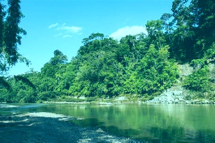 Sadie, 35 — Escort in Arajuno, Ecuador