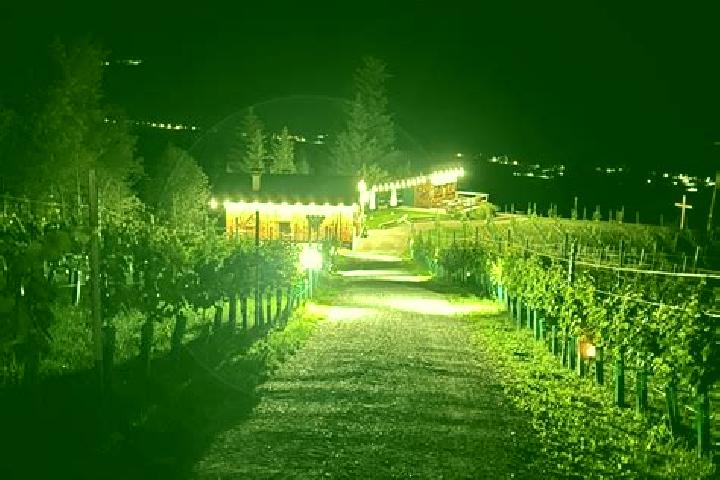 Sadie, 35 — Escort in Arnoldstein, Austria