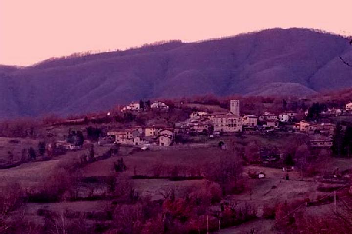 Sadie, 35 — Escort in Piazza al Serchio-San Michele, Italy