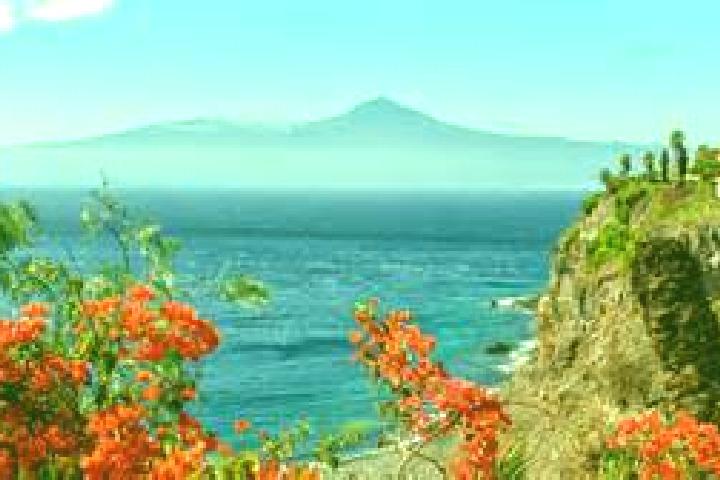 Sadie, 35 — Escort in Piedra Hincada, Mexico