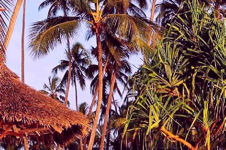 Sadie, 35 — Escort in Shelui, Tanzania