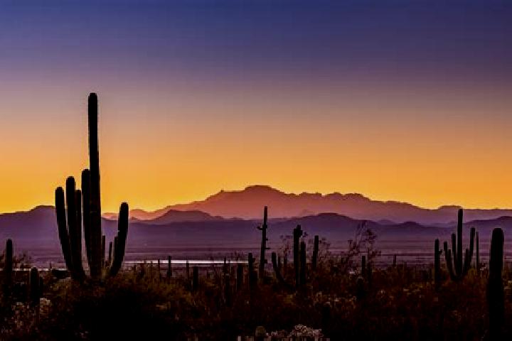 Sadie, 35 — Escort in South Tucson, United States