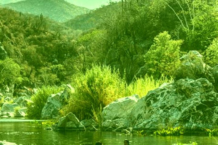 Sadie, 35 — Escort in Union Hidalgo (El Chorro), Mexico