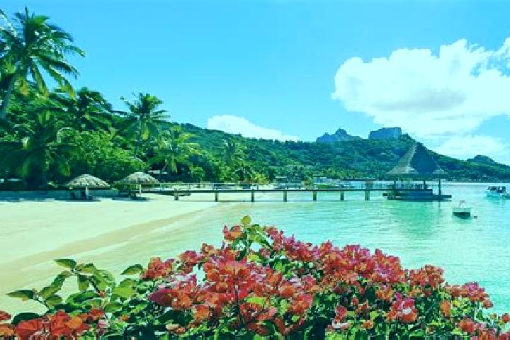 Sadie, 36 — Escort in Fare, French Polynesia