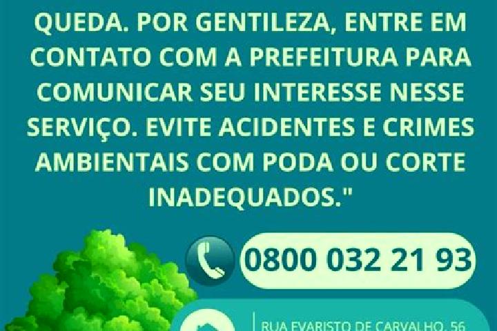Sadie, 36 — Escort in Ibertioga, Brazil