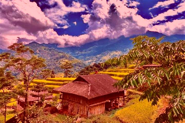 Sadie, 36 — Escort in Si Ma Cai, Vietnam