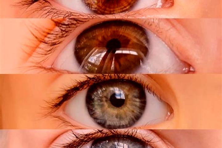 Sadie, 37, a chestnut amber-eyed mixed companion based in La Valle Agordina. Offering Striptease, Couples, Party Girl. Available for incall and outcall, day ...