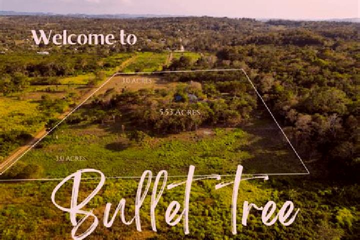 Sadie, 37 — Escort in Bullet Tree Falls, Belize